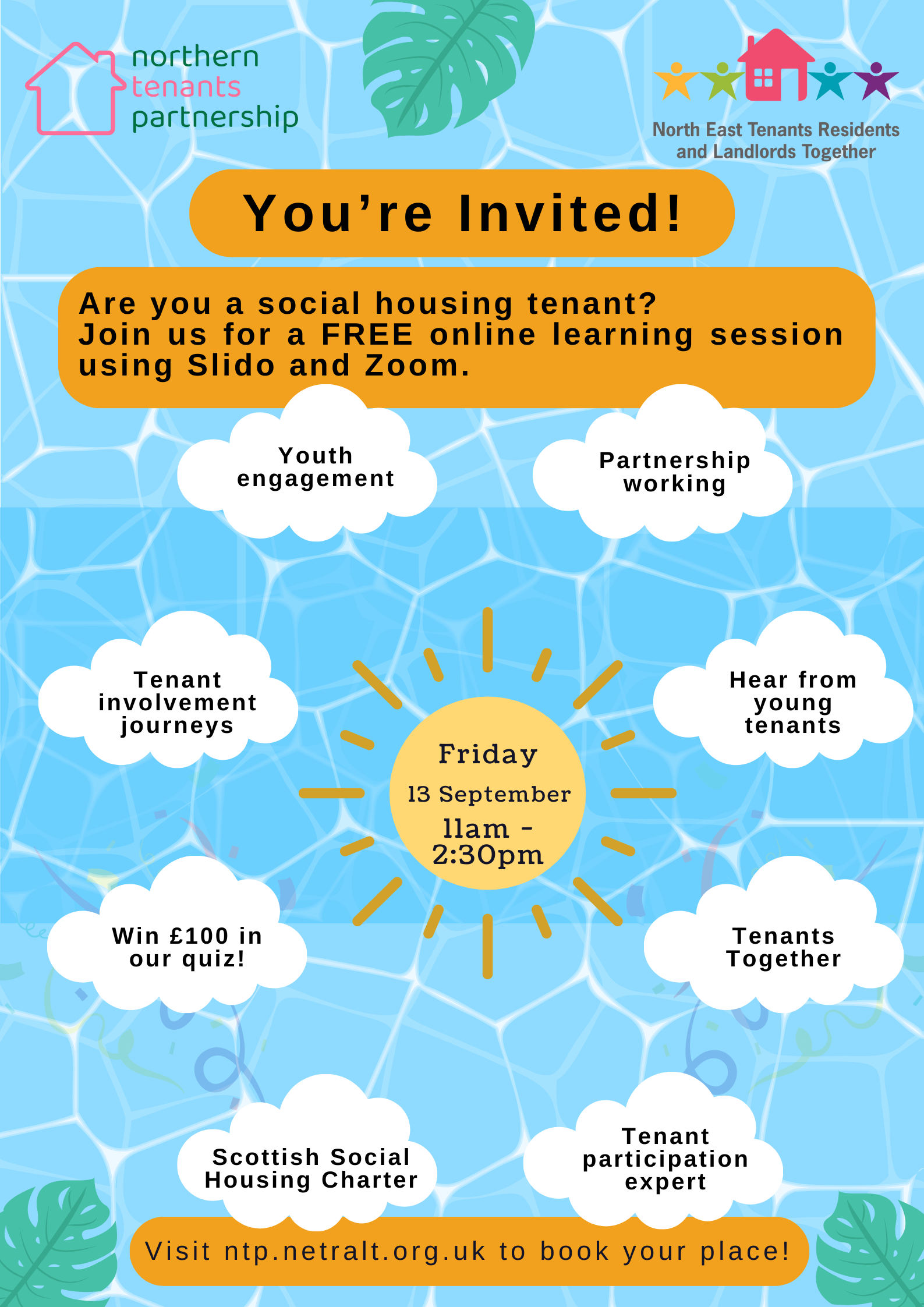 NETRALT & NTP joint venture flyer